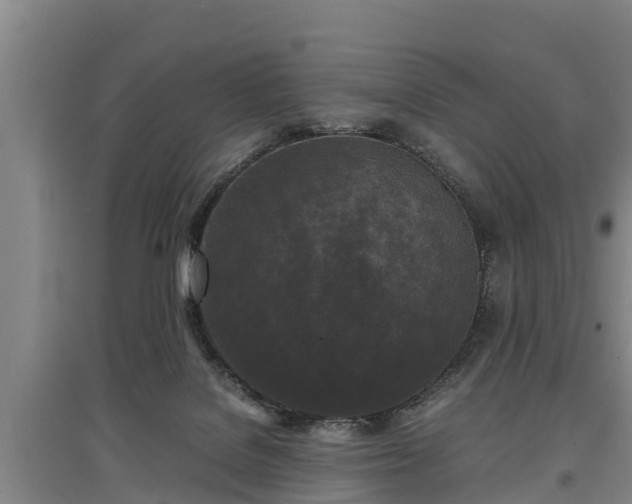 X0000097480076200802291408