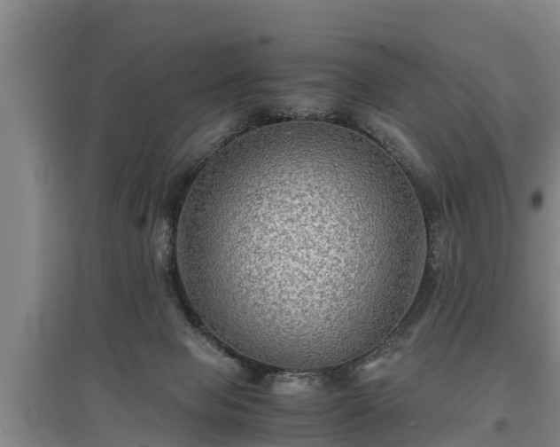 X0000097480077200802291408