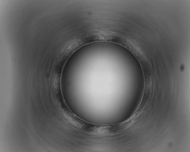 X0000097480078200802291408