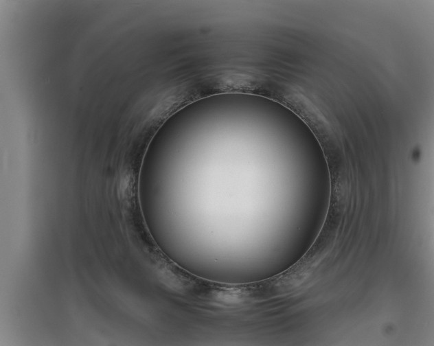 X0000097480079200802291408