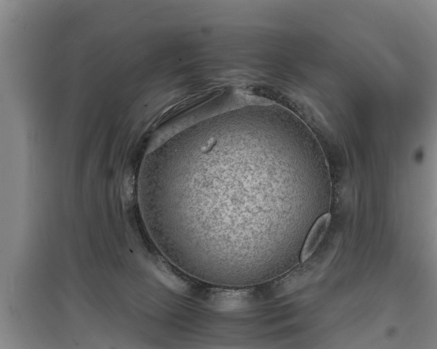 X0000097480081200802291408