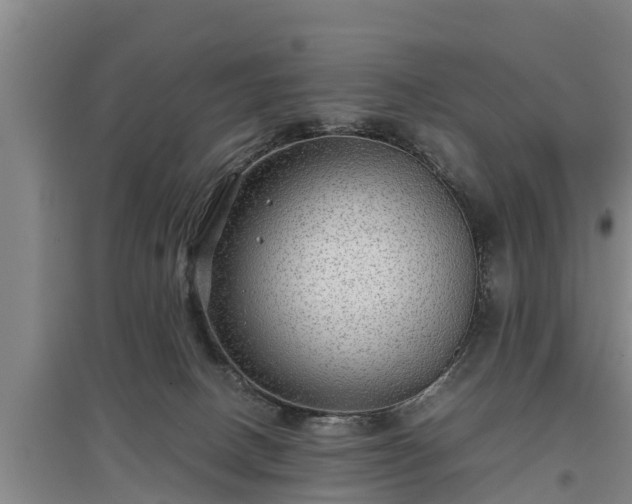 X0000097480082200802291408