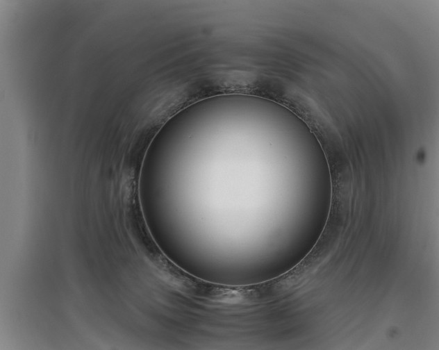 X0000097480083200802291408