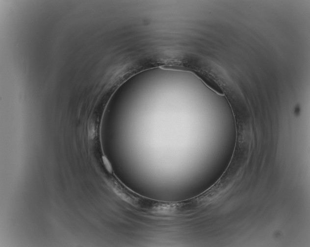 X0000097480084200802291408