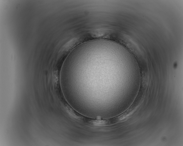 X0000097480085200802291408