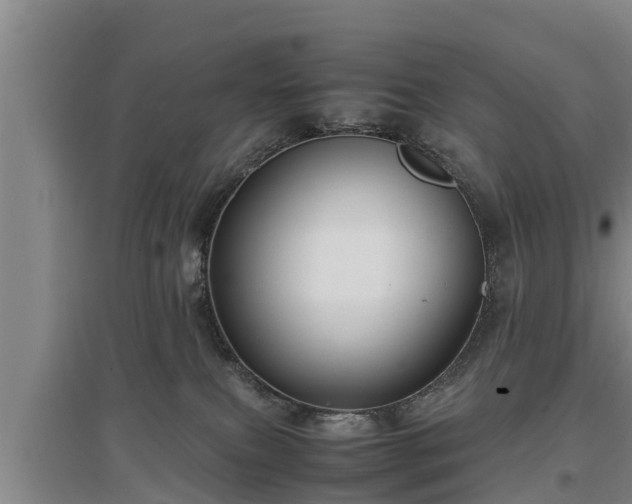 X0000097480087200802291408