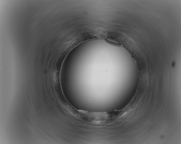 X0000097480088200802291408