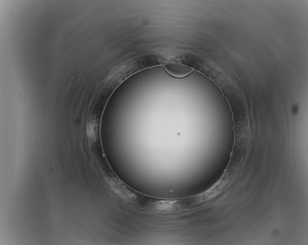 X0000097480090200802291408