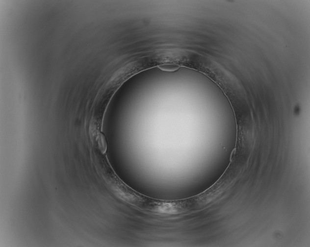 X0000097480091200802291409