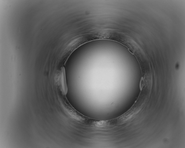 X0000097480092200802291409