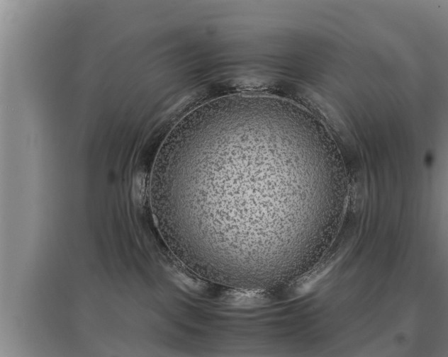 X0000097480093200802291409