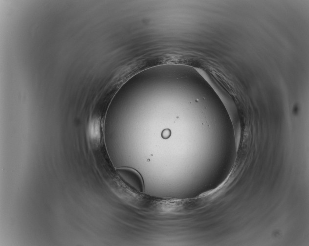 X0000097480094200802291409