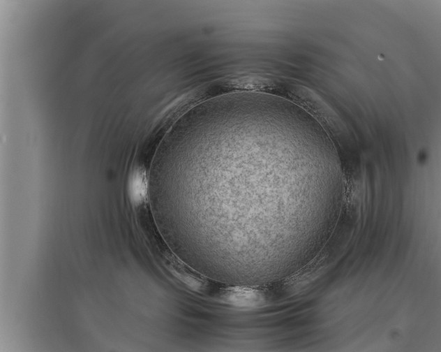 X0000097480095200802291409