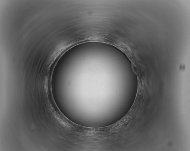 X0000097480098200802291408