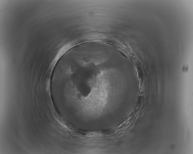 X0000097480099200802291408