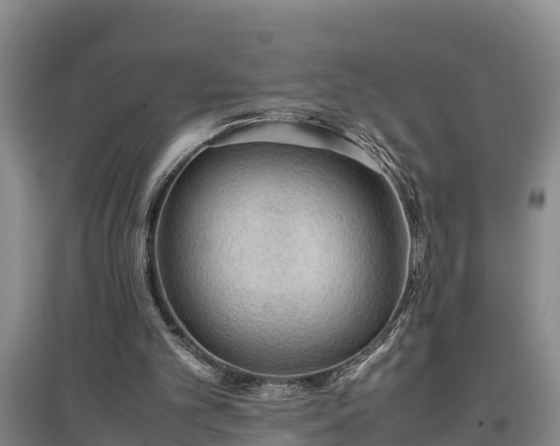 X0000097480101200802291408