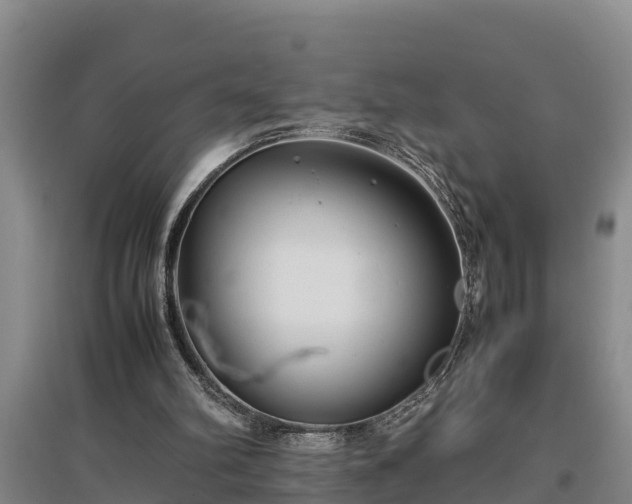 X0000097480102200802291408