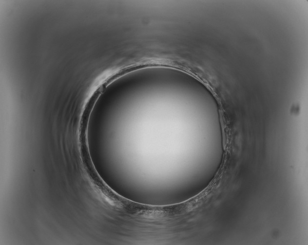 X0000097480104200802291408