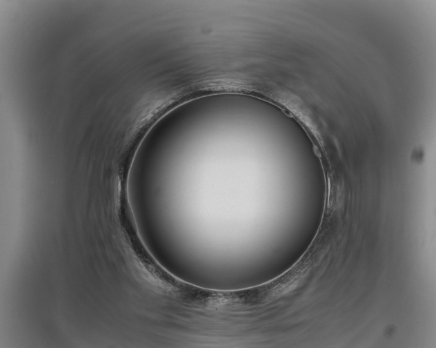 X0000097480109200802291408