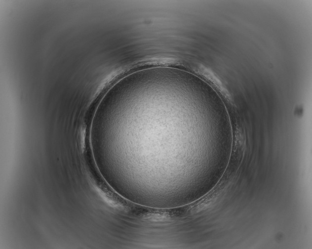 X0000097480110200802291408