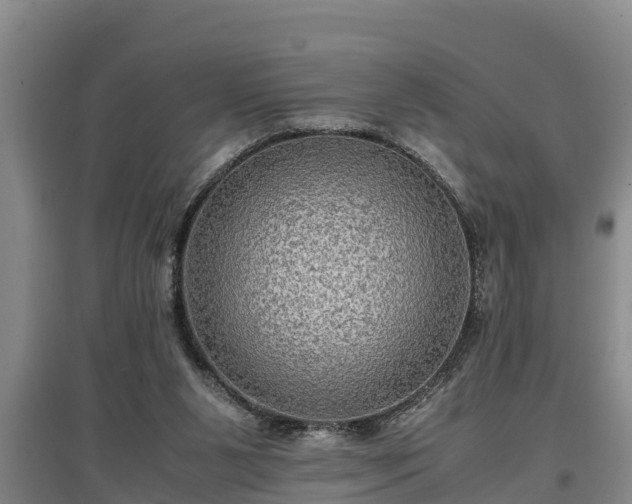 X0000097480111200802291408