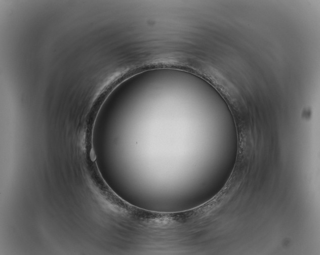 X0000097480112200802291407