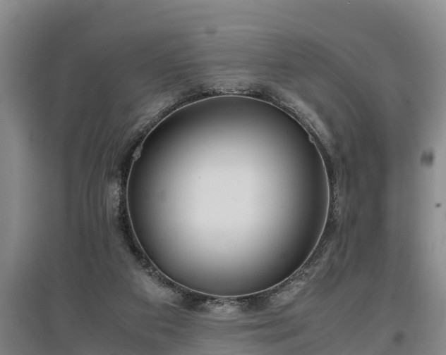 X0000097480113200802291407