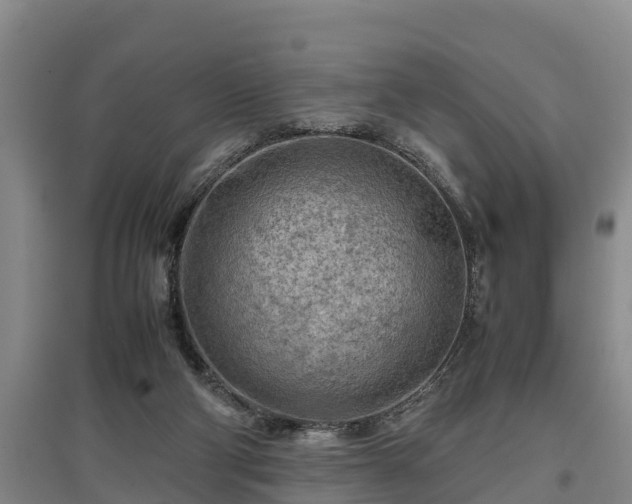 X0000097480114200802291407