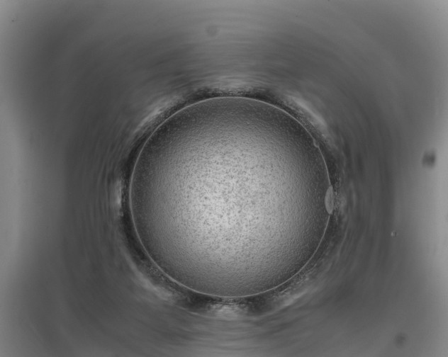 X0000097480115200802291407