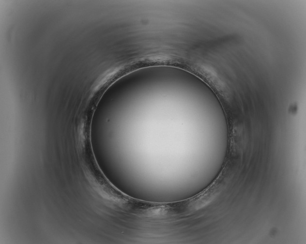 X0000097480116200802291407