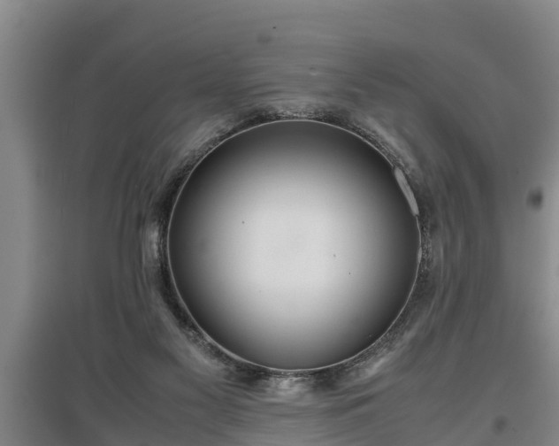 X0000097480117200802291407