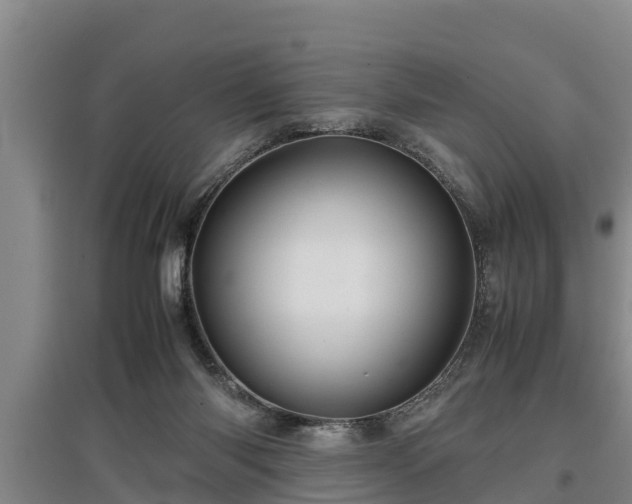 X0000097480118200802291407