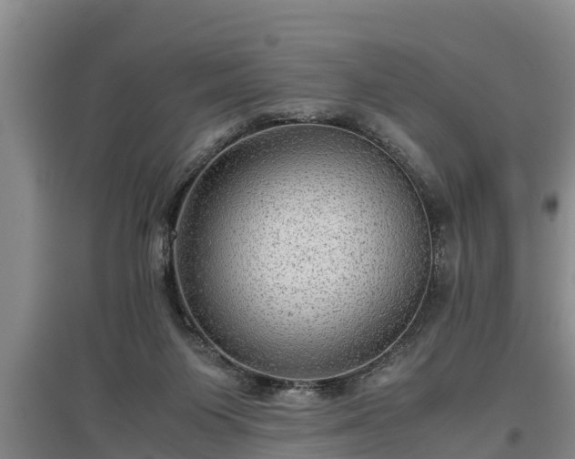 X0000097480119200802291407