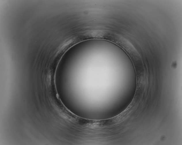 X0000097480120200802291407