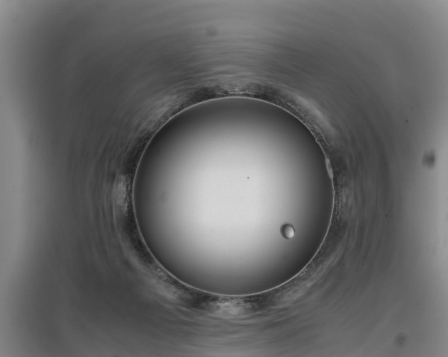 X0000097480121200802291407