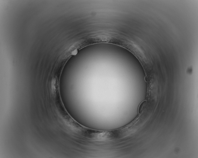 X0000097480122200802291407