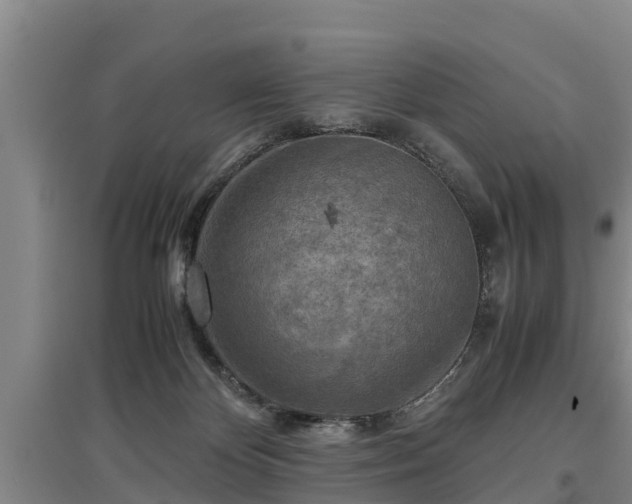 X0000097480124200802291407