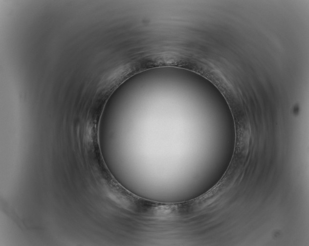 X0000097480126200802291407