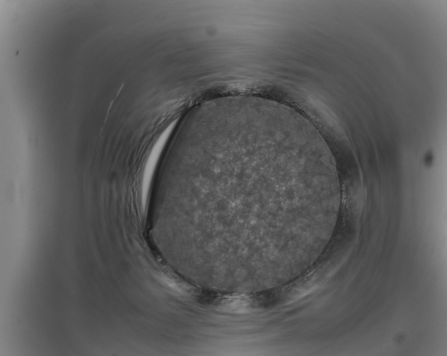 X0000097480127200802291407