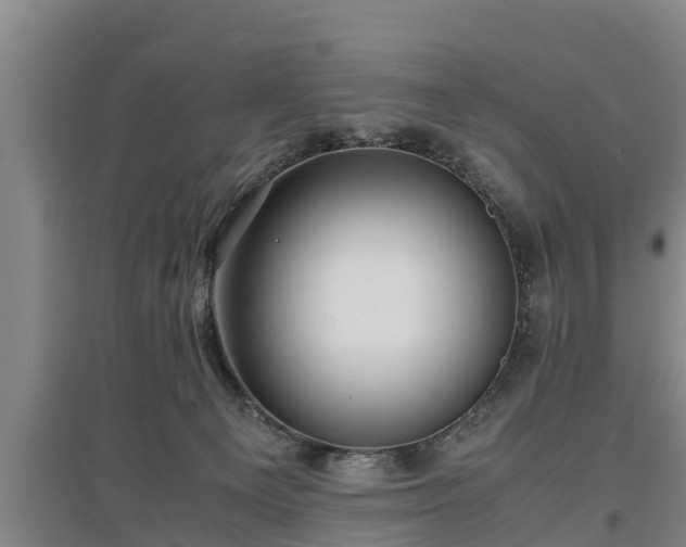 X0000097480129200802291407