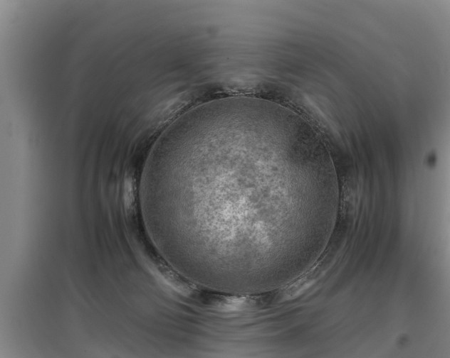 X0000097480130200802291407