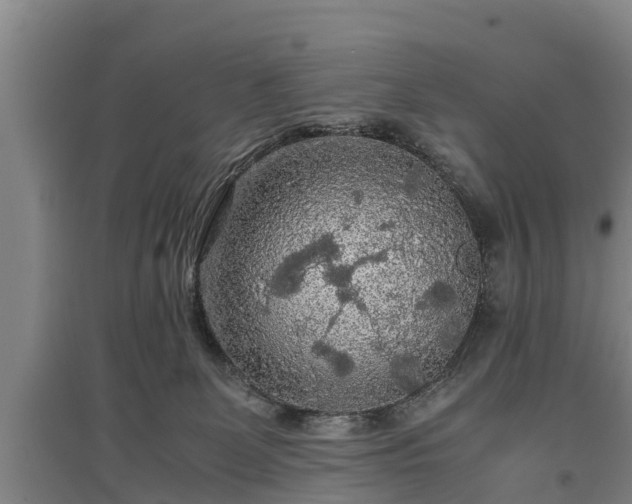 X0000097480131200802291407