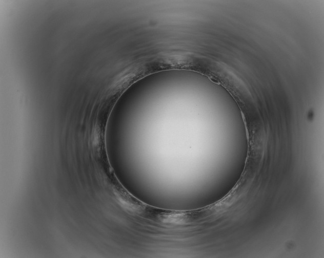 X0000097480132200802291407