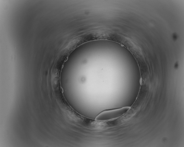 X0000097480133200802291407