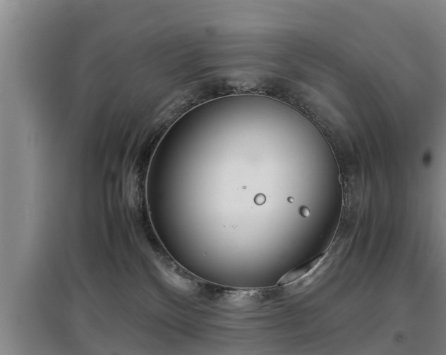 X0000097480136200802291407