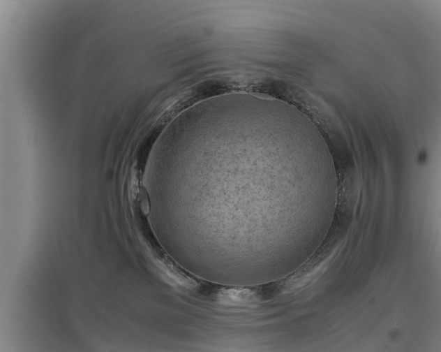 X0000097480137200802291407