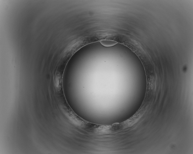 X0000097480138200802291407