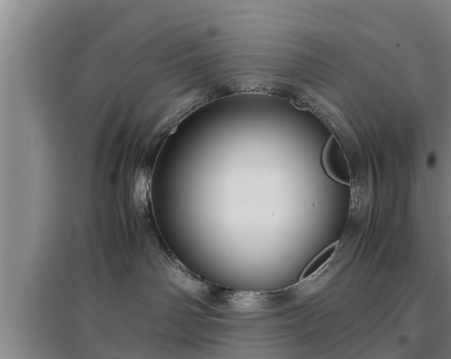 X0000097480142200802291407