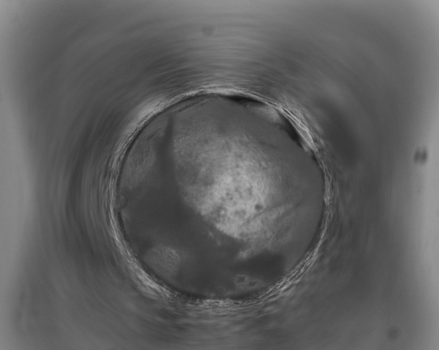 X0000097480145200802291406