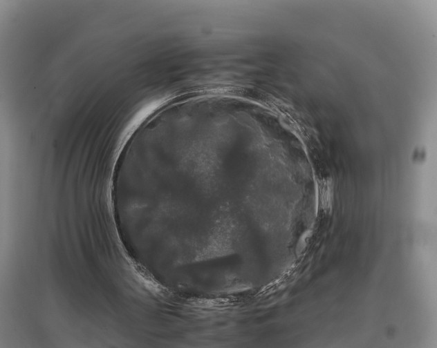 X0000097480147200802291406